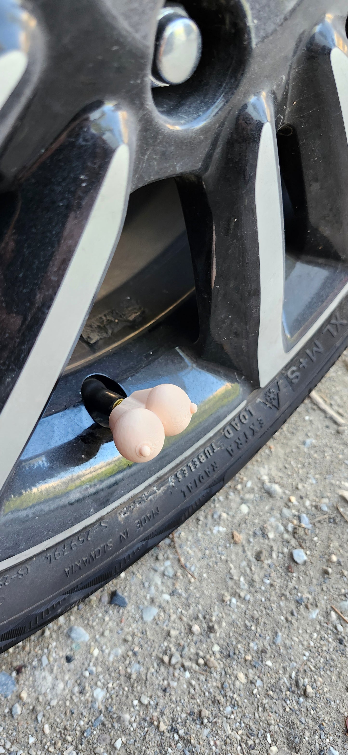 Βαλβιδοβυζάκια