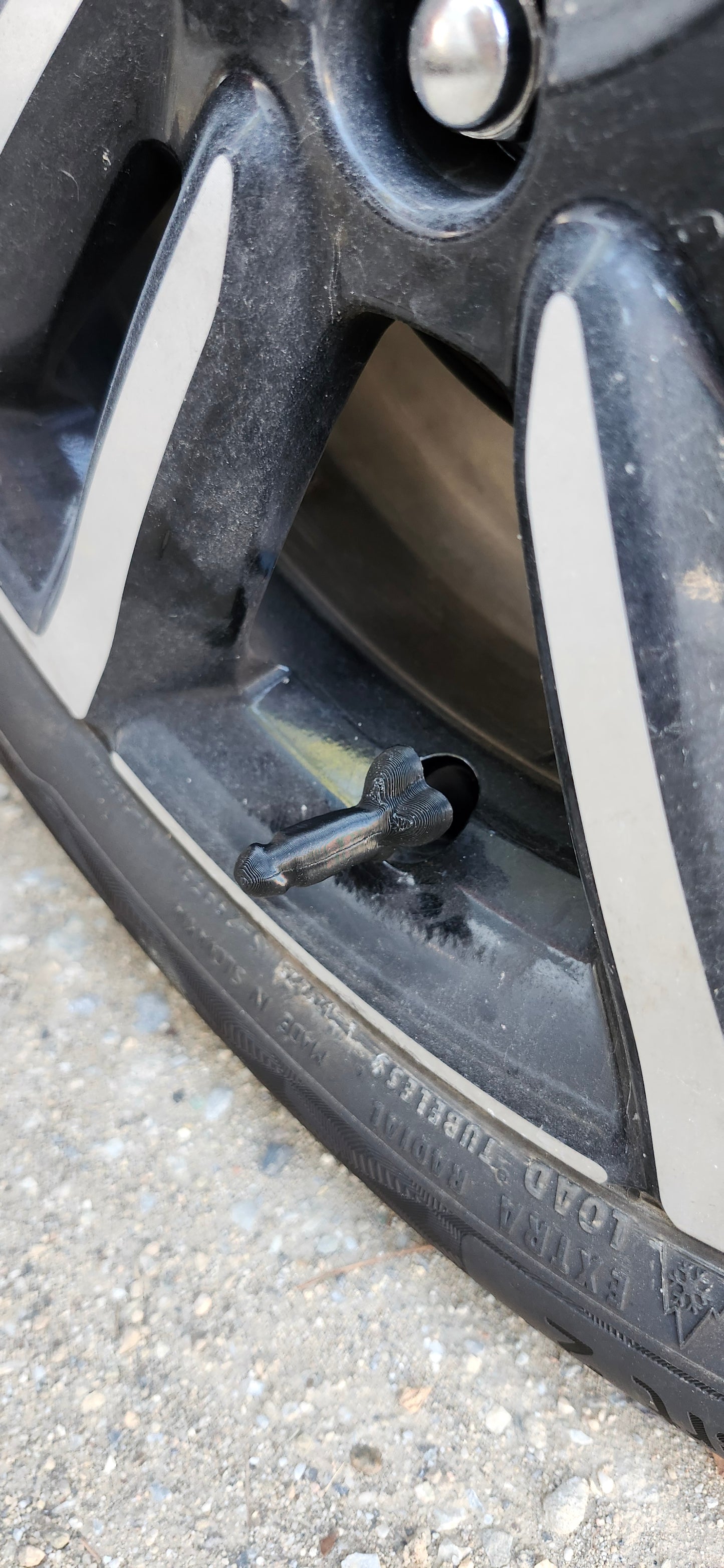 Βαλβιδοπουτσάκια