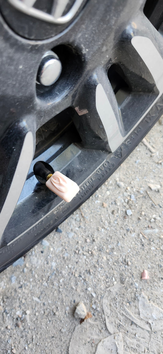 Βαλβιδομουνάκια