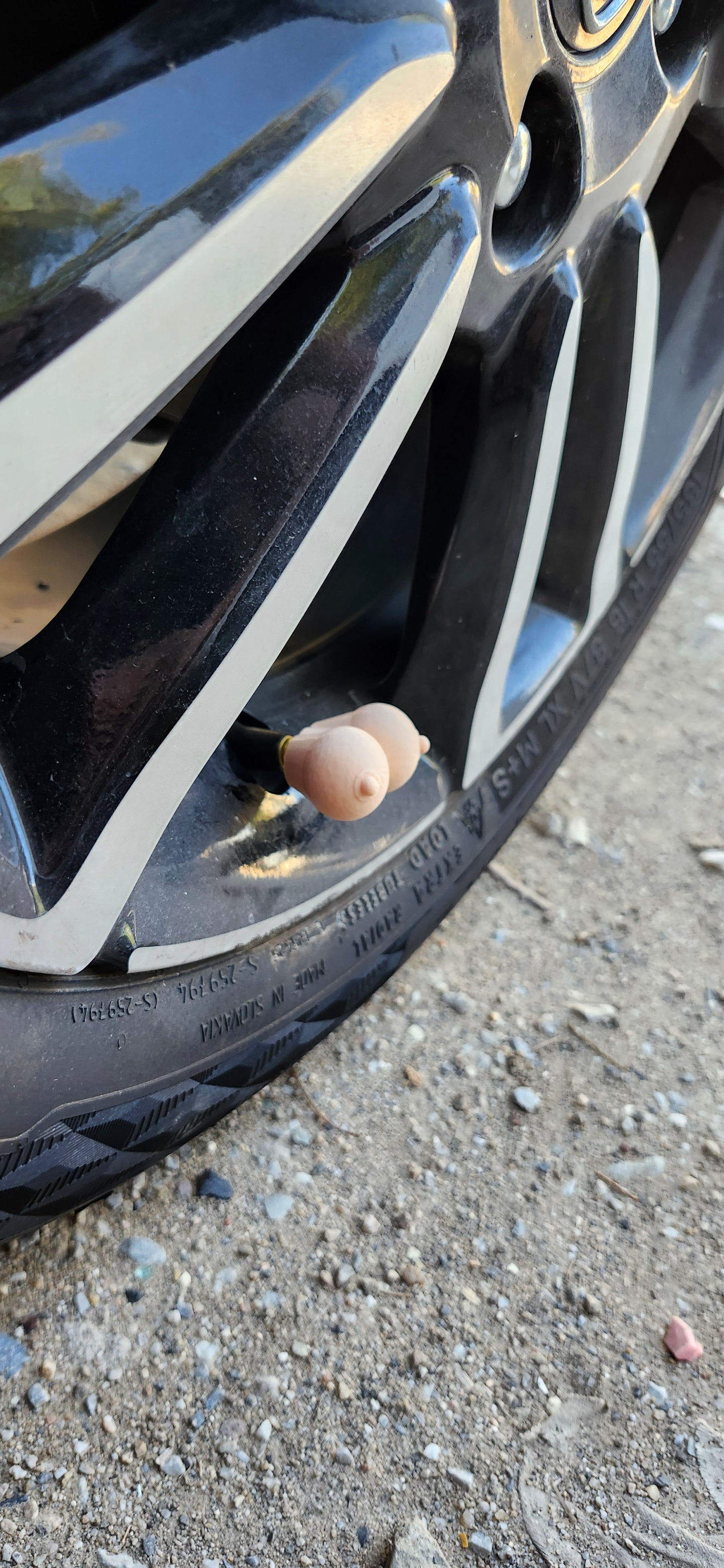 Βαλβιδοβυζάκια