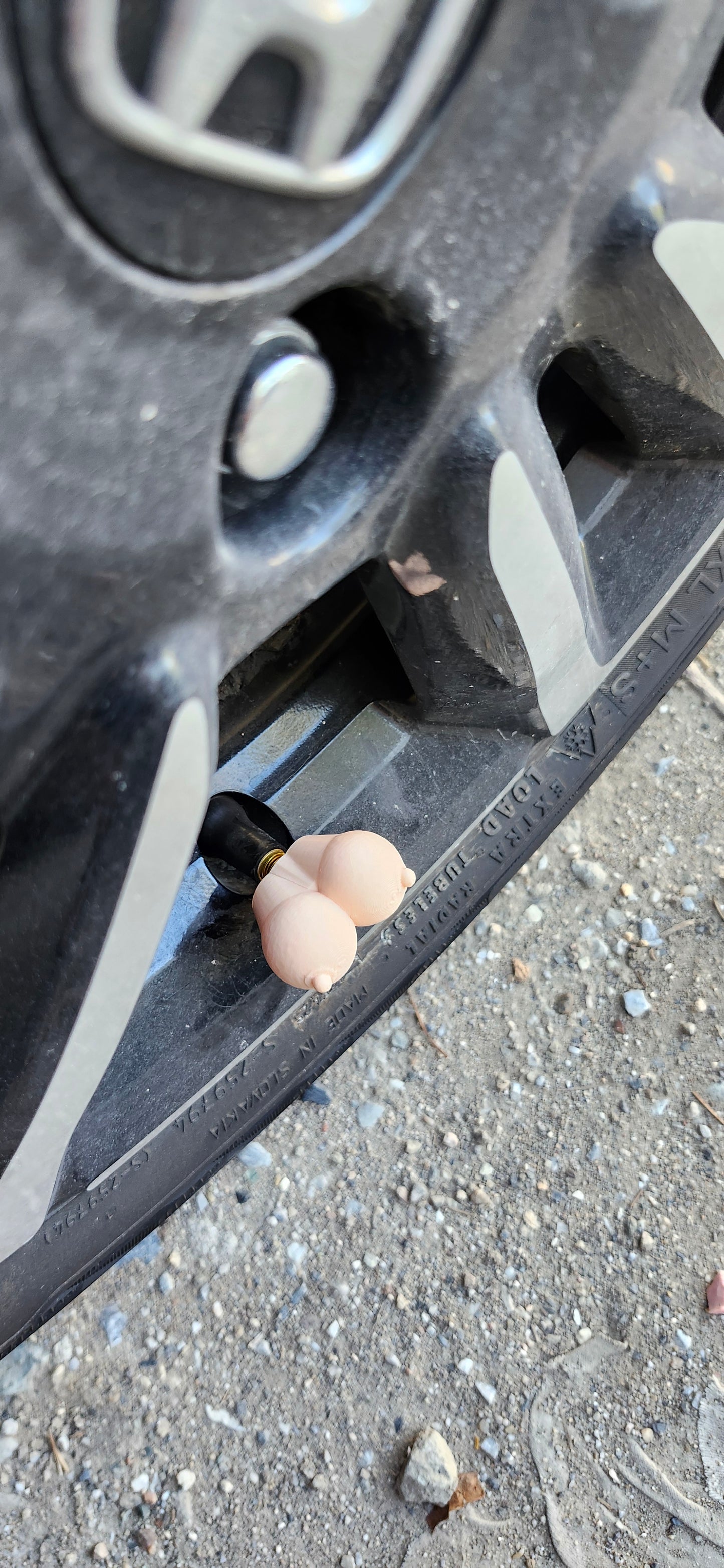 Βαλβιδοβυζάκια