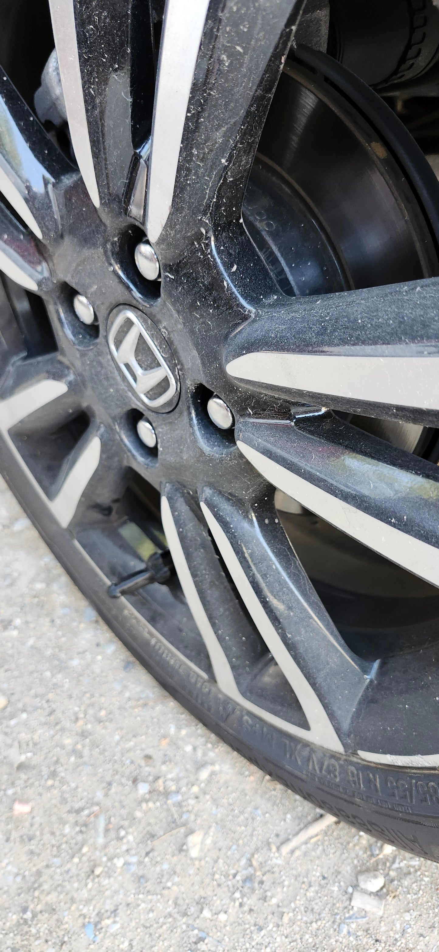 Βαλβιδοπουτσάκια