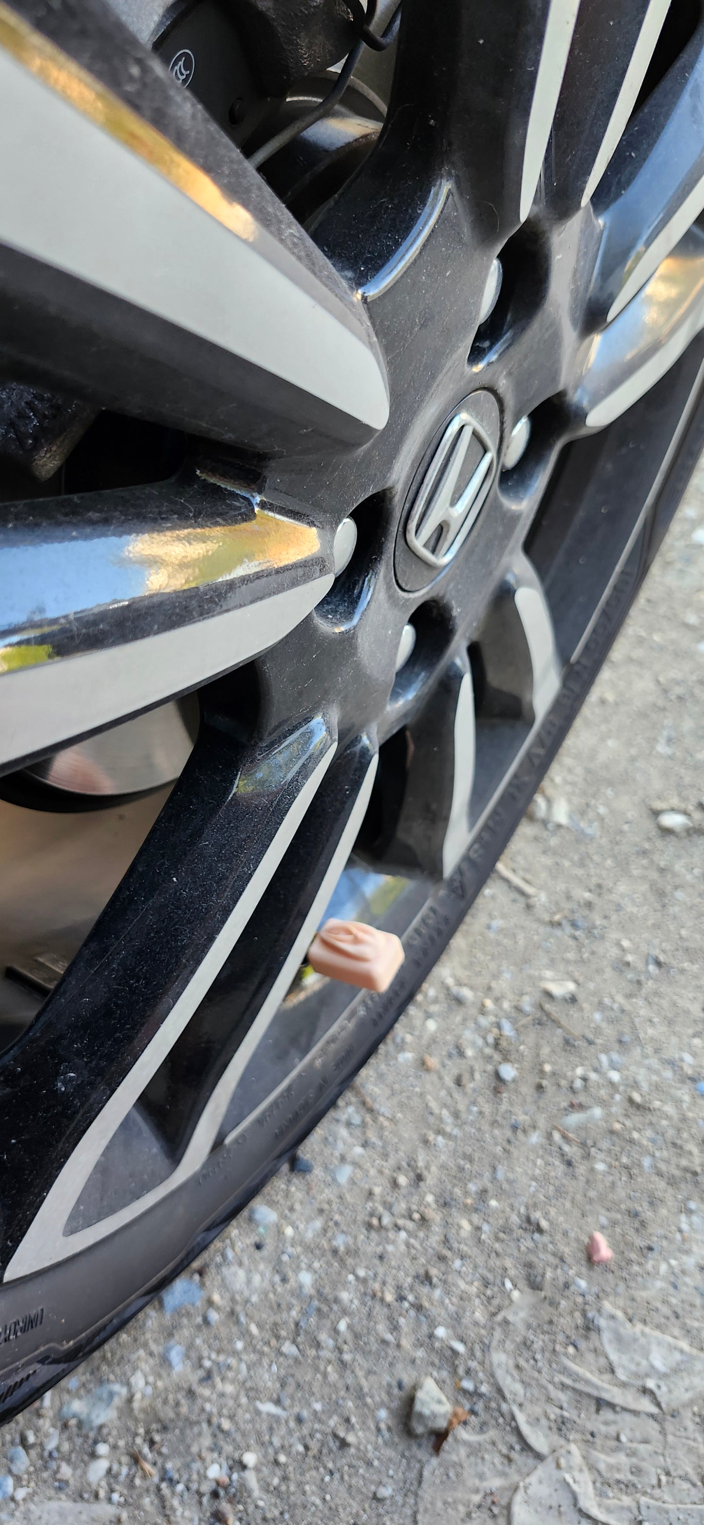 Βαλβιδομουνάκια