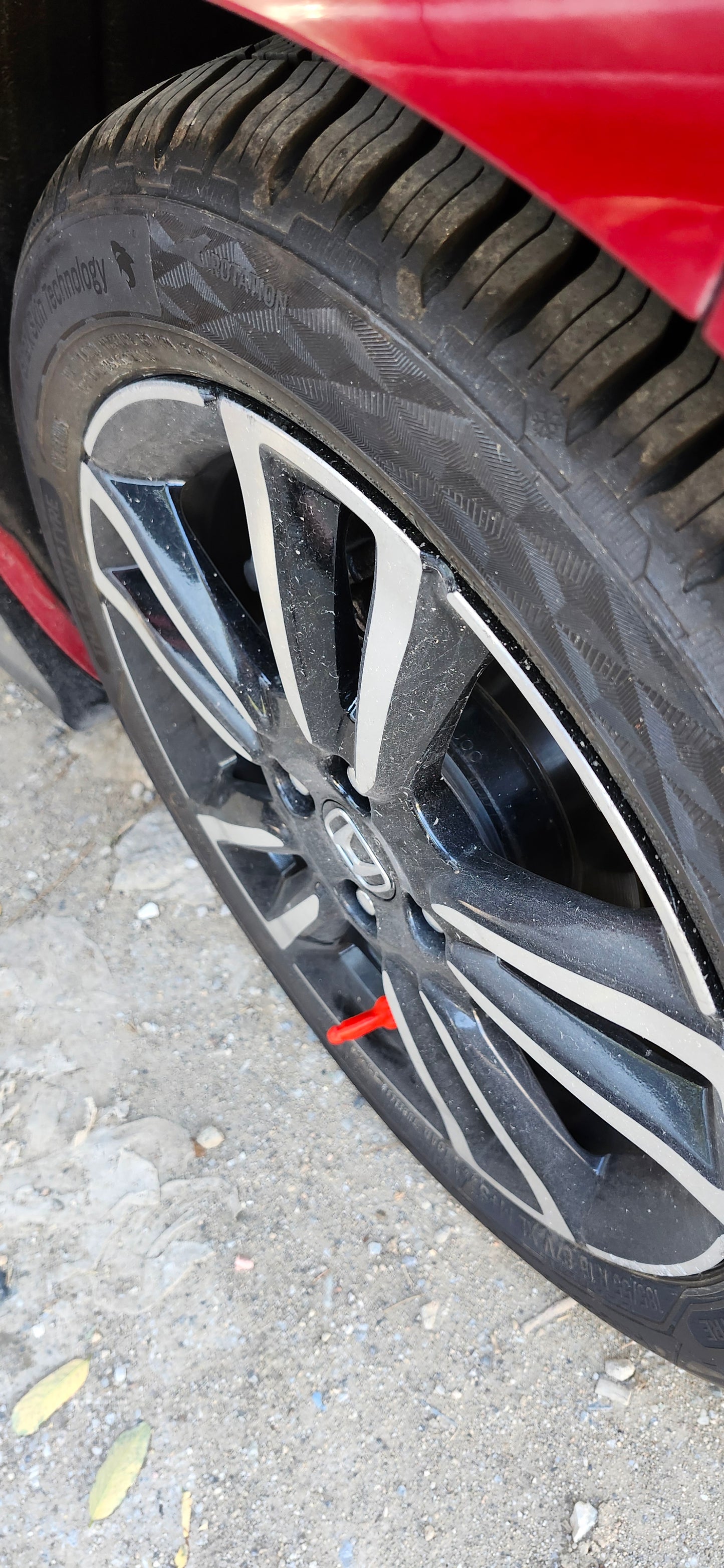 Βαλβιδοπουτσάκια