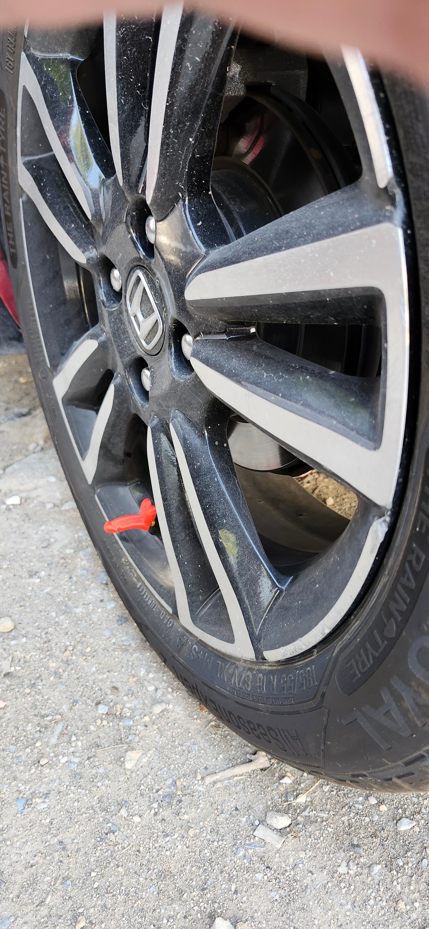 Βαλβιδοπουτσάκια