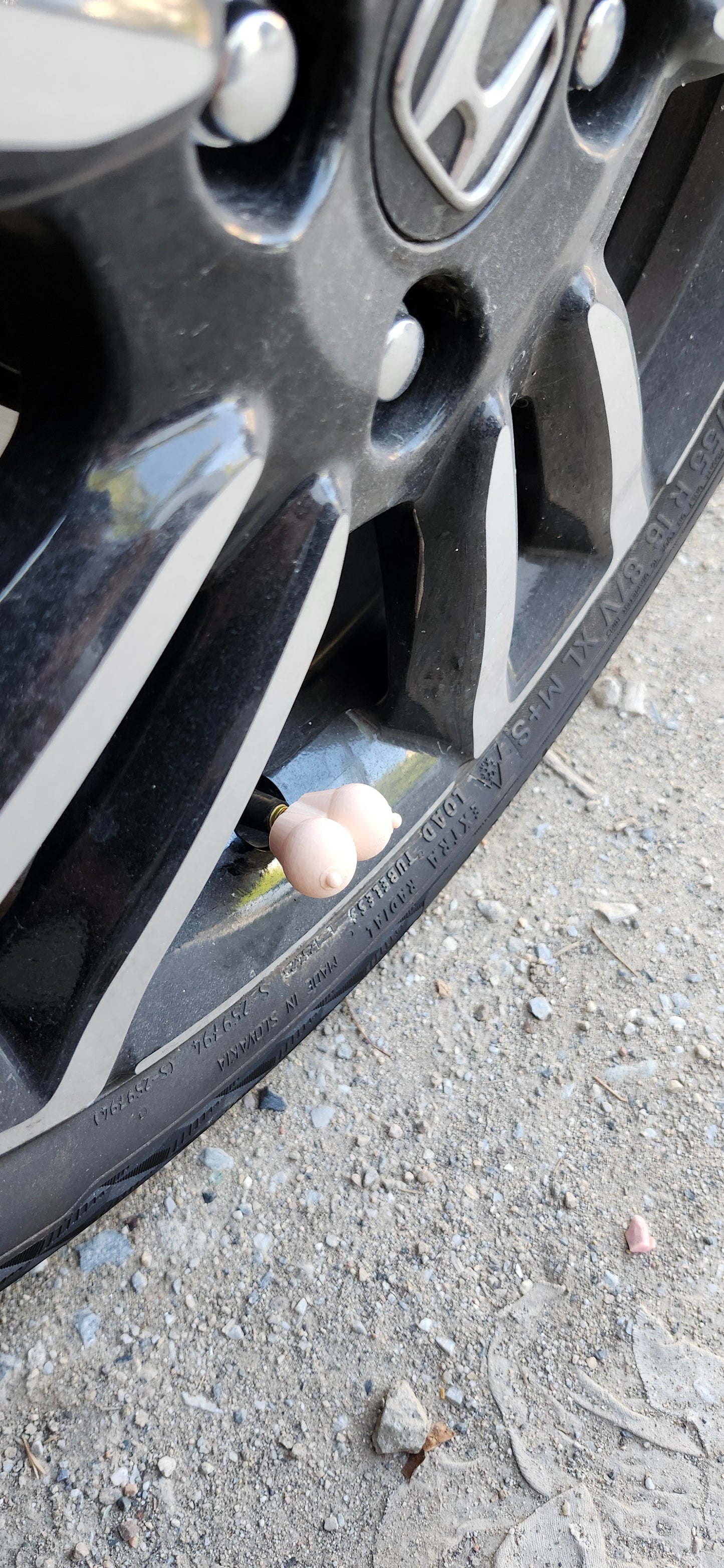 Βαλβιδοβυζάκια