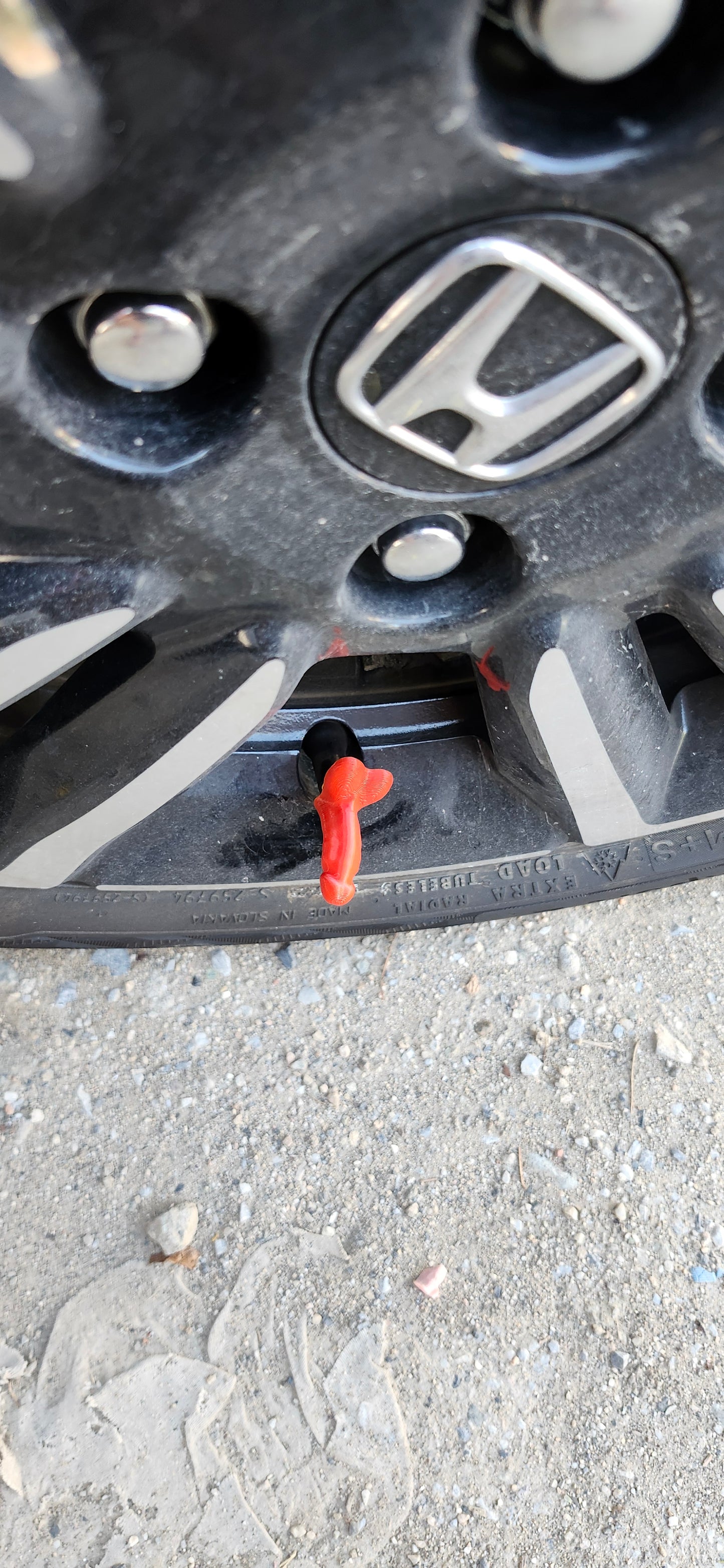 Βαλβιδοπουτσάκια